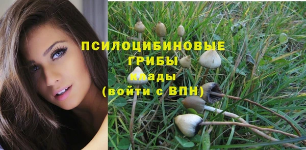 каннабис Абаза