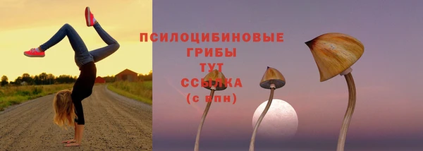 бутират Абинск