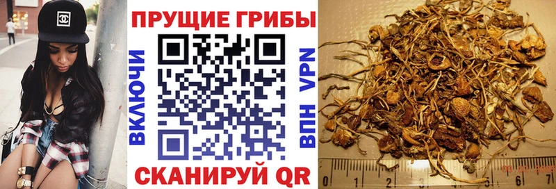 Псилоцибиновые грибы прущие грибы  наркотики  Владикавказ 